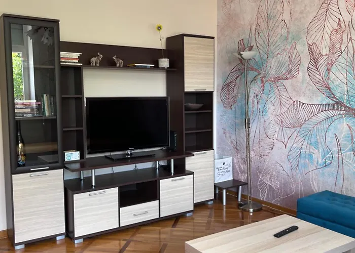Apartman Sasha 1 - Ask For Free Parking